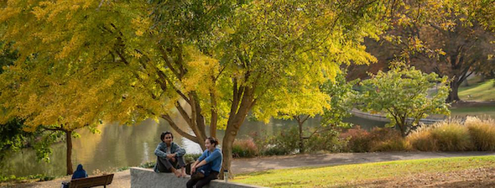 Students in UC Davis arboretum in the fall